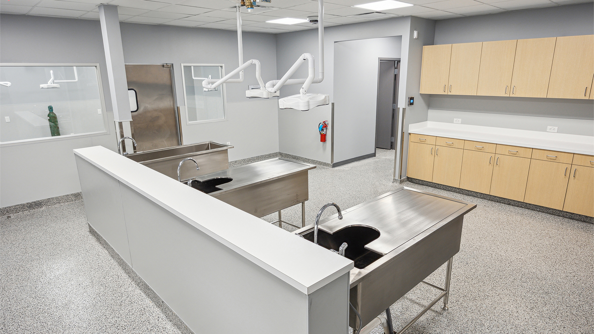 Corvus-Website-Projects-SAAnimalClinic-06