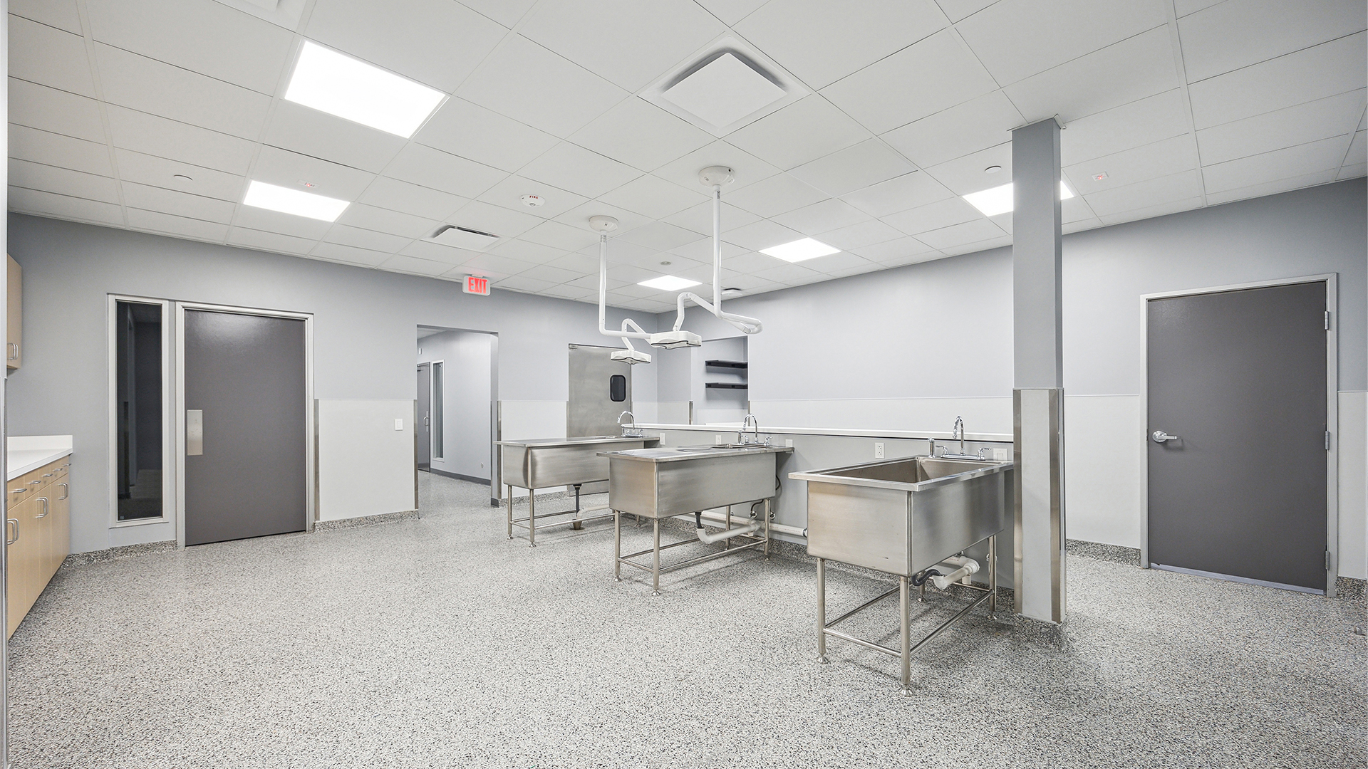 Corvus-Website-Projects-SAAnimalClinic-07