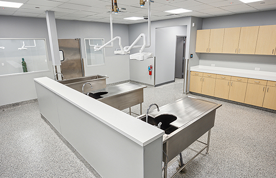 City of San Antonio Animal Clinic